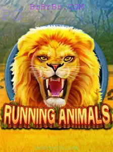 RunningAnimals: A Corrida dos Animais e a Aventurosa Experiência de BrBrBr.COM